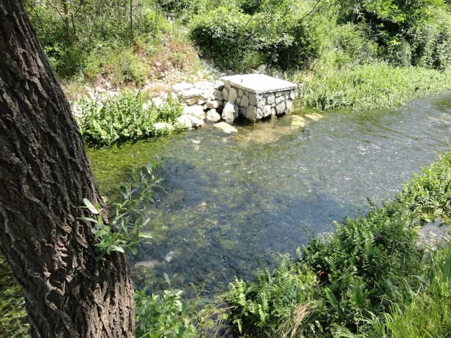 Water Spring Villa Hrvace Bagian luar foto